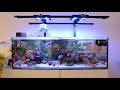 Waterbox 1054 saltwater aquarium reef tank update  tank tour august 2023