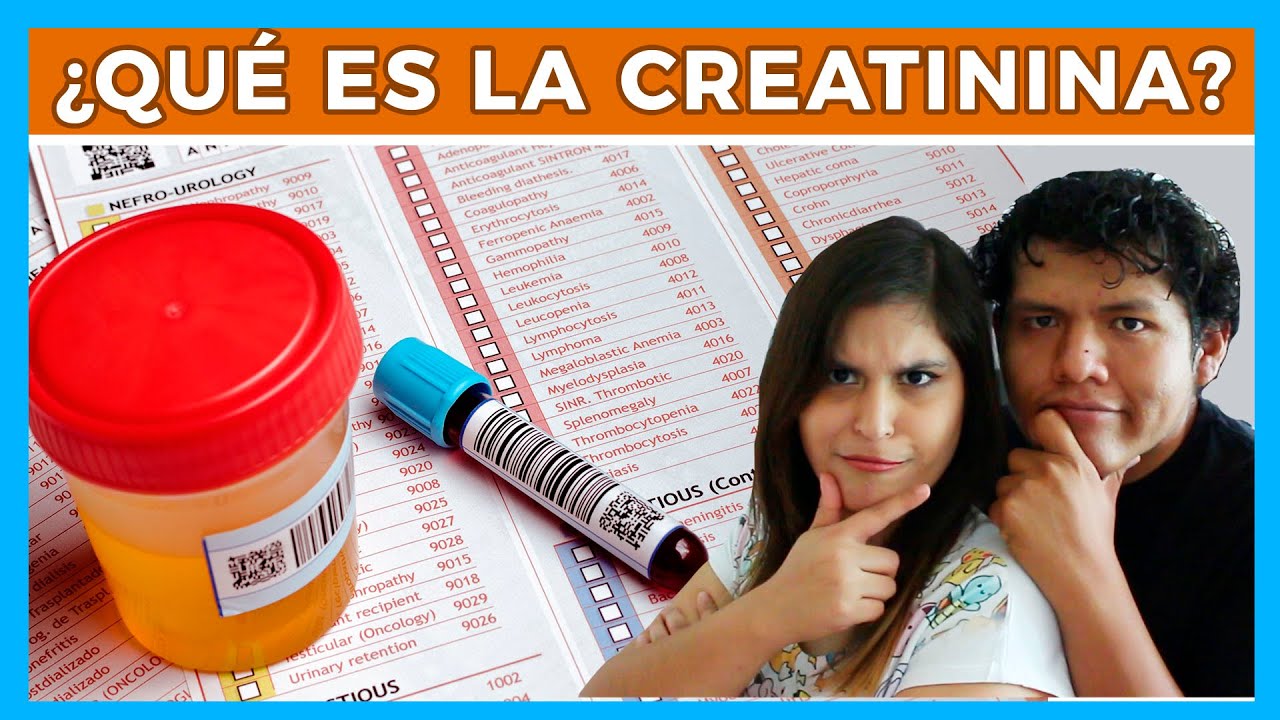 Que es la CREATININA y COMO BAJARLA Junica IRC YouTube