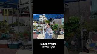 [우리동네소식]구수리강변마켓