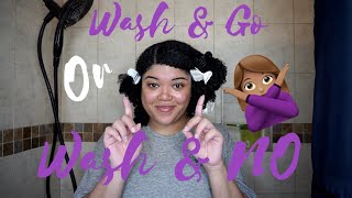 WASH AND GO 🙂 OR WASH AND NO?!🥴 Watch me style on Type 4 hair | Naturally Ellae