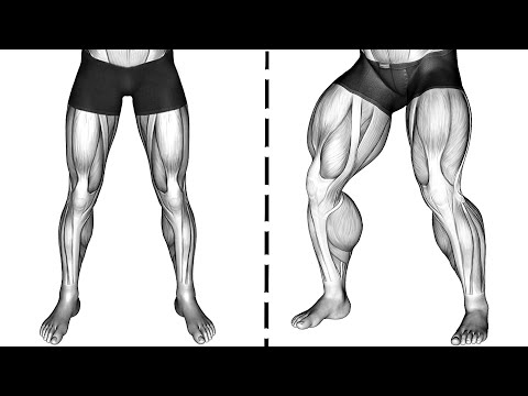 These Exercises Will Make Your Legs Stronger
