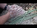 How To Make Yucca Soap