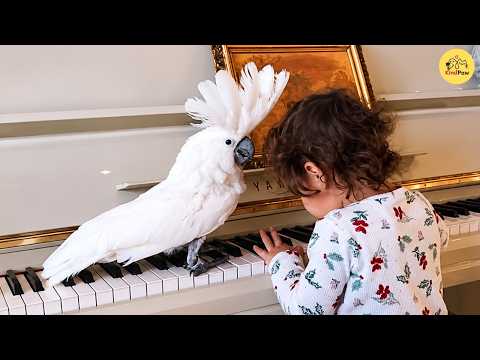 The Neglected Parrot From a Dark Basement Becomes a Tiny Baby’s Ultimate Guardian