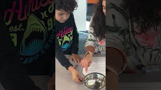 A Day in the Life at STEMTREE Education Center