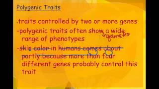 Section 11-3 Beyond Dominant and Recessive Alleles