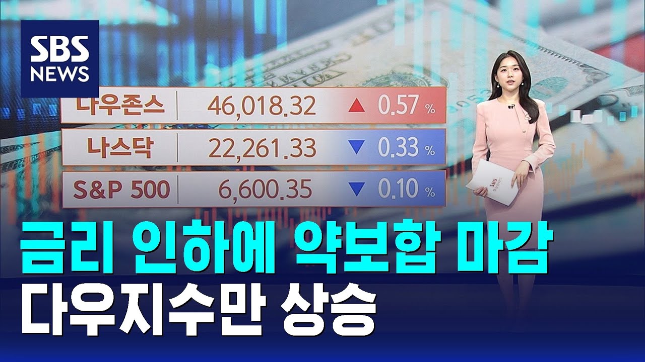 금리 인하에 약보합 마감…다우지수만 상승 / SBS / 뉴욕증시