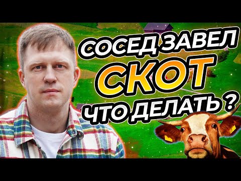 ЧТО ДЕЛАТЬ ЕСЛИ СОСЕД ЗАВЕЛ СКОТ НА УЧАСТКЕ ДЛЯ ЖИЛОГО СТРОИТЕЛЬСТВА?