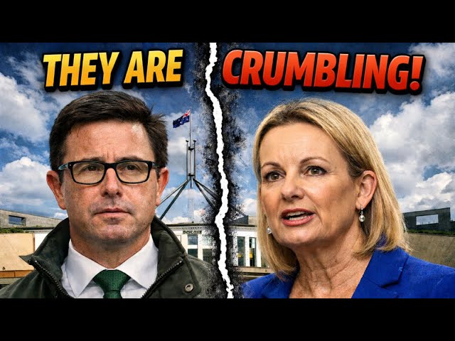 Is This The End Of The Coalition? These Laws Have Caused Debate