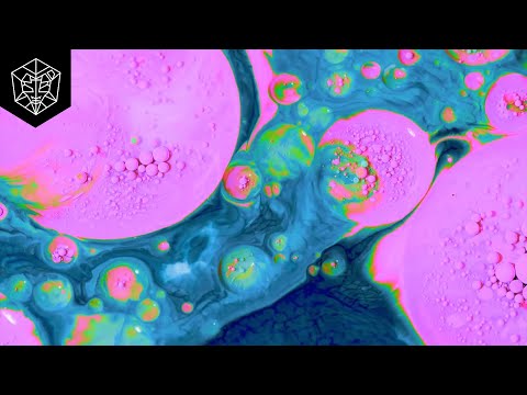 Pontifexx — Pontifexx - Love & War (Official Lyric Video)