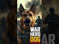 The WWII Dog Who Saved Thousands 😱🔥🔥#WWII #WorldWar2 #History #MilitaryHistory #TrueStory #WarHero