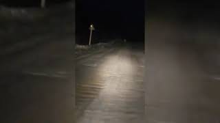 Polar bear filmed 460km south of its natural Arctic habitat in Yakutia