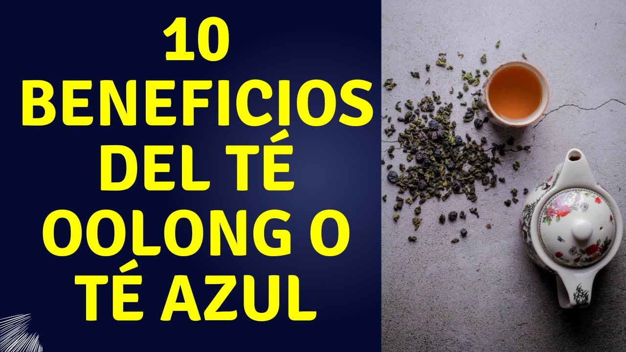 🌿10 BENEFICIOS Y PROPIEDADES DEL TE OOLONG O TÉ AZUL ¡LO NUNCA CONTADO