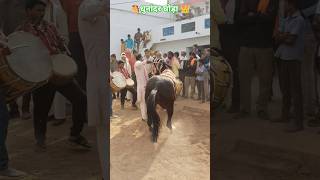 #_horse #_dance_video #_like_and_subscribe ❣️👑