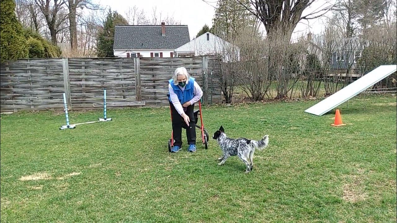 Nose to Hand Targeting YouTube