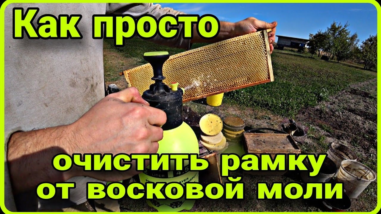 Как просто, очистить рамку от восковой моли.