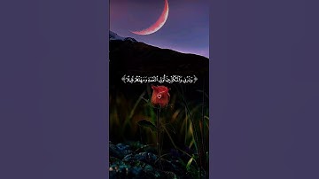#بسم_الله_الرحمن_الرحيم #آيات #قرآن #ترند #دويتو #اكسبلور #لايك #duet