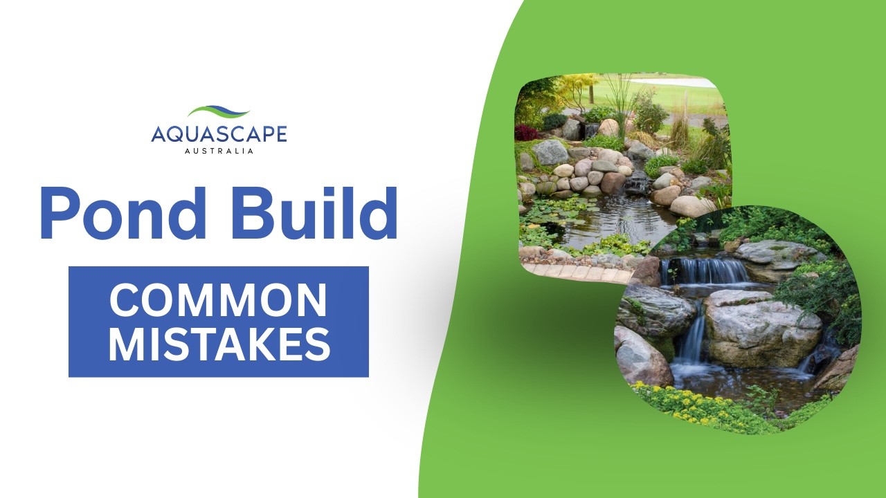 Common Pond Building Mistakes | Pump Size, Flow & Filtration Explained