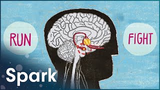 The Truth About Stress