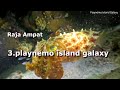 Laja Ampat  playnemo island galaxy