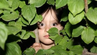 Неуловимые для глаз атаки!!!Таинство выживания и смерти! Документальный фильм 2017 Неуловимые для глаз атаки!!!Таинство выживания и смерти! Документальный фильм 2017