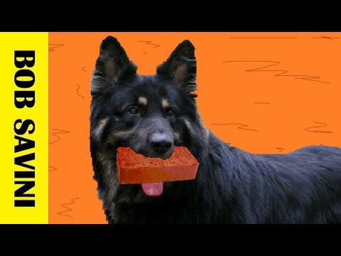 |HEROVO BUDET.FM| # 23 - чёткий пёся
