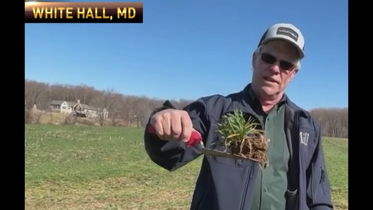 RFDTV Market Day Report and Mid-Atlantic Crop Field Updates with Ben Hushon for March 17, 2025