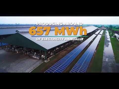 Interloop Dairies limited Goes Green with Premier Energy - YouTube