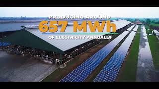 Interloop Dairies limited Goes Green with Premier Energy