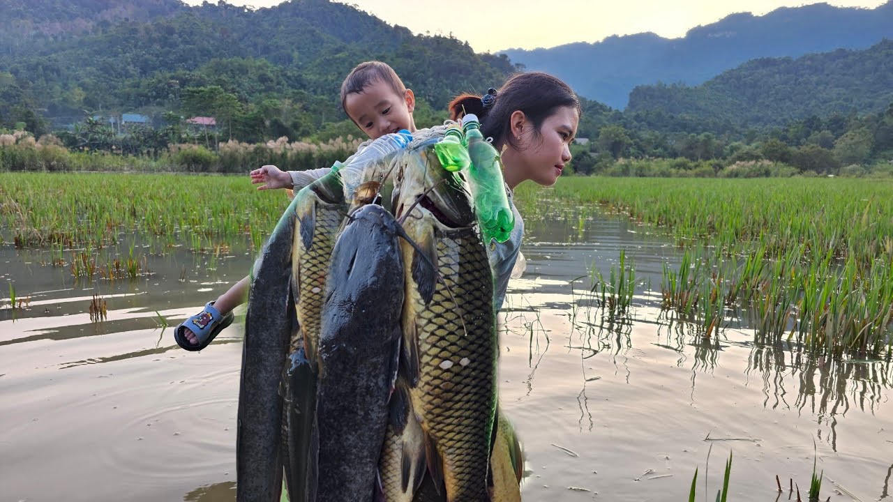 Catch fish, trap giant fish to sell at the market - buy fruit for my son to eat.