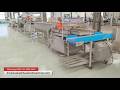 Industrial Salad Vegetable Washing Line Details In Factory