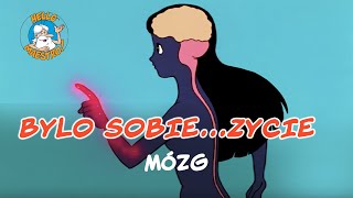 Bylo Sobie... Zycie 9 Mózg