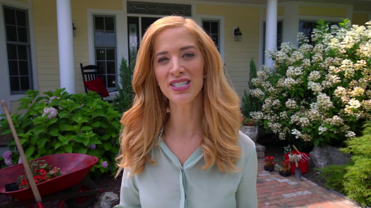 Clever, Fun Spot by DEG Direct Response