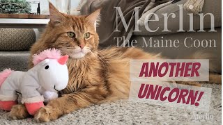 Another Unicorn! by Merlin the Maine Coon 1,547 views 2 years ago 2 minutes, 39 seconds