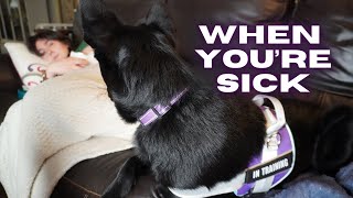 How DO YOU Train a Service Dog WHEN YOU are sick???