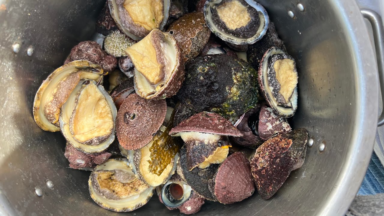 HACEDOR DE HAMBRE PATRIMONIAL - LAPAS