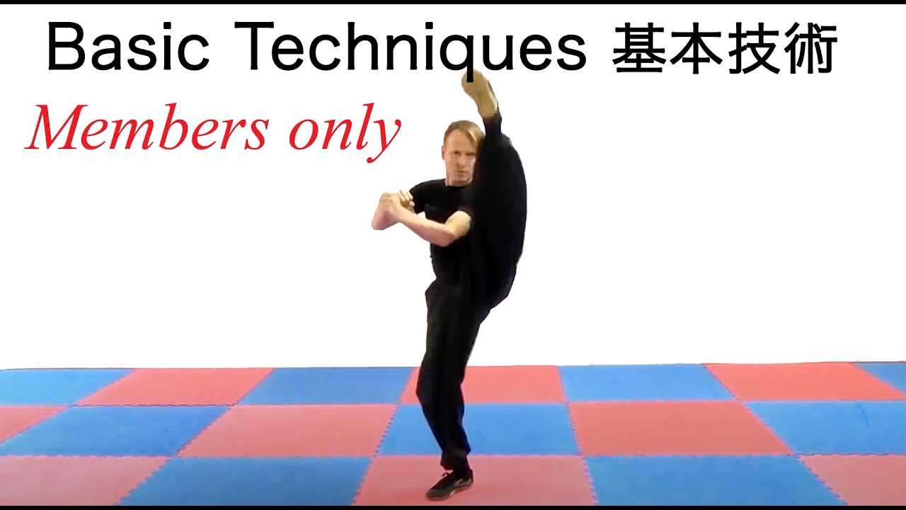 Choy Li Fut Kung Fu: basics - YouTube