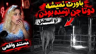 این موجود ساعت ۳ صبح وارد اتاق شد! فکر می‌کردیم سایه است اما چیزی بسیار وحشتناک‌تر بود! مستند واقعی screenshot 3