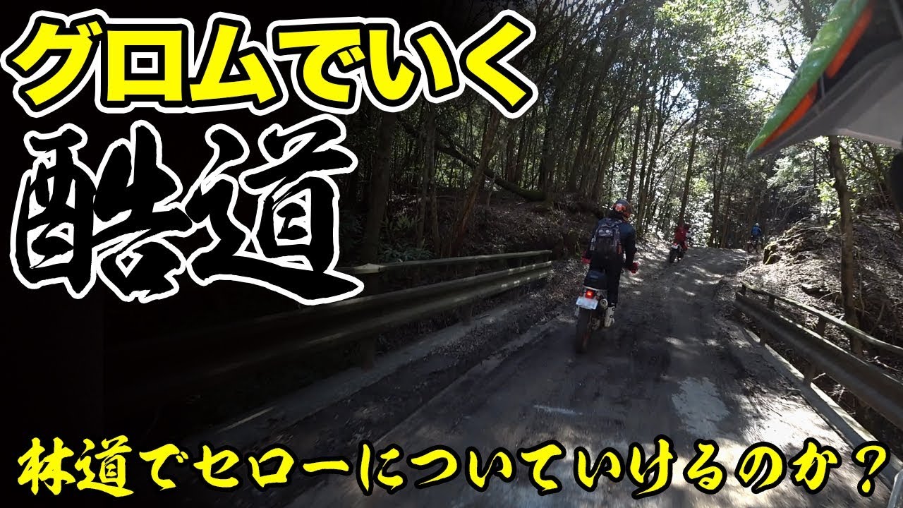 グロムで行くゆるふわ林道ツーリング【セローについていけるのか？】