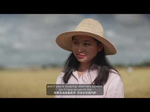 Study at the UQ Gatton Campus | Mandarin and English CC