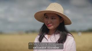 Study at the UQ Gatton Campus | Mandarin and English CC