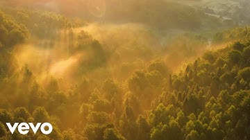 Victor Towle - Dust Light