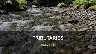 Tributaries — Rhythmic Marimba & Strings | River Movement III