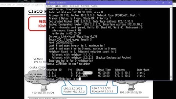 CISCO Router/switch設定入門編　第１８回　OSPFの設定DR,BDRの選出と昇格
