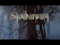 Symbaroum Durchgeblättert Folge 6 - Spielleiterschirm