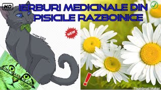 Ierburi medicinale din Pisicile Razboinice!