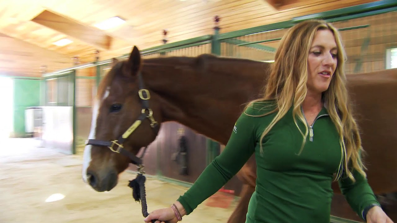 HORSE RIDING BASICS with Rebecca Atwater Lesson 2 How to lead your