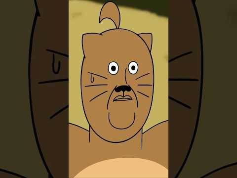 개못생긴 고양이 thumbnail