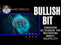 BULLISH BIT: Why Bitcoiners Will Be Rewarded for Weathering Market Volatility 🌪