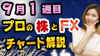 FXドル円と日経平均のチャート分析が的中しまくり！【今週のチャンス銘柄は？】金価格とNYダウとプラチナとボリンジャーバンド