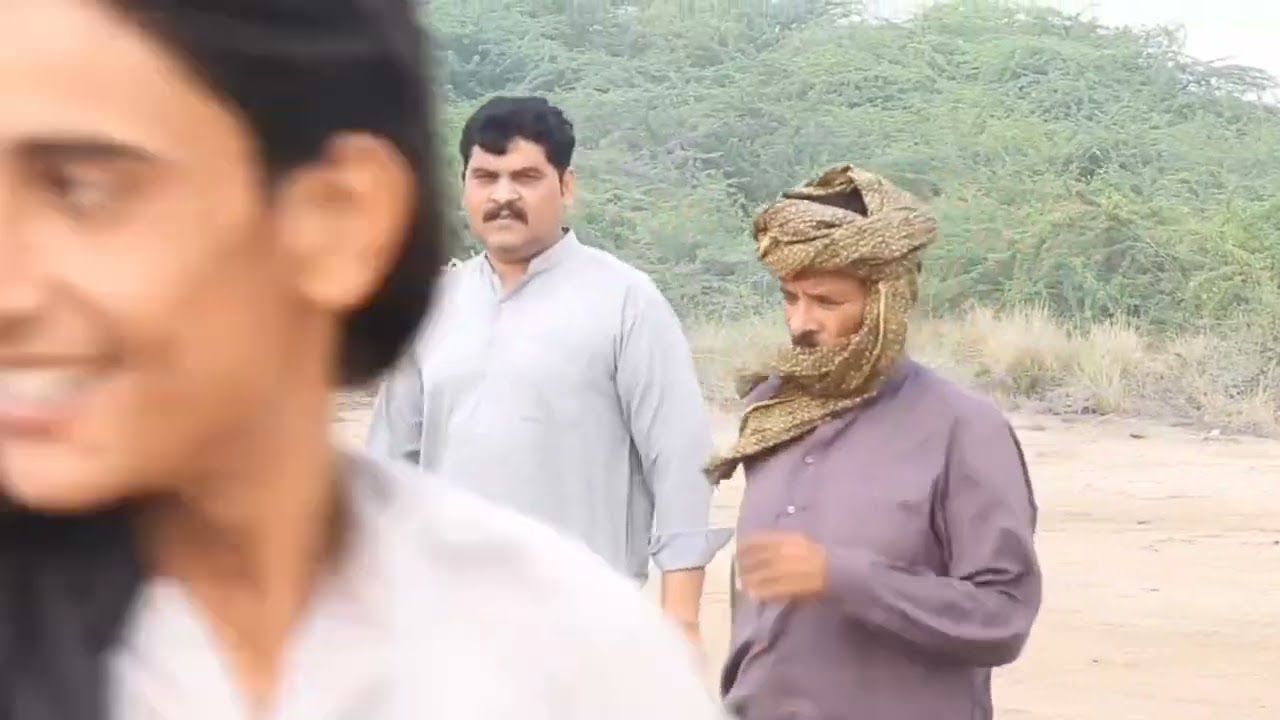 New Bull race ( 10 March 2026 ) phari rounds video ground 49 Chandan Shahzada bail 243 kalyanpur 